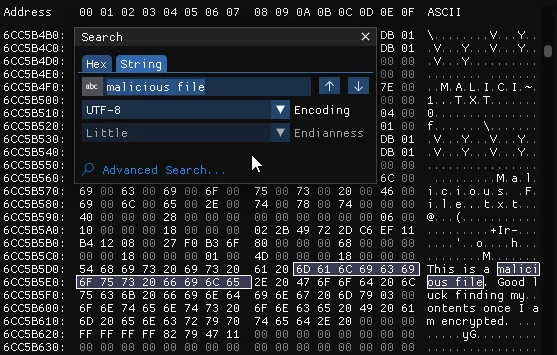 Hex Editor Text Content Search